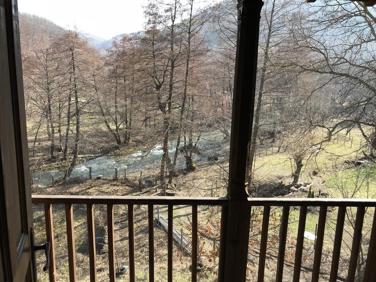 Hotel Divetsite 2*